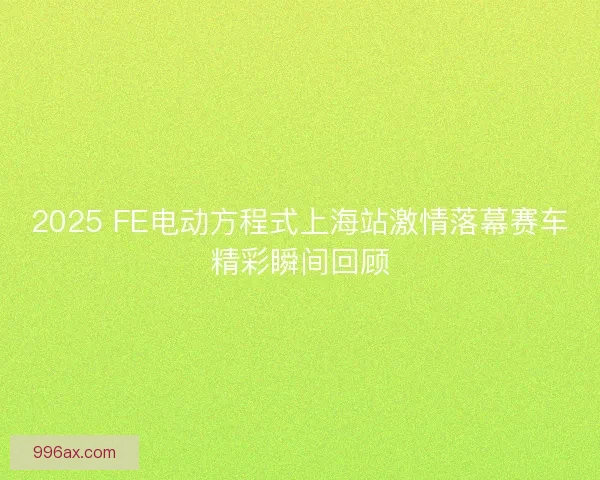 2025 FE电动方程式上海站激情落幕赛车精彩瞬间回顾